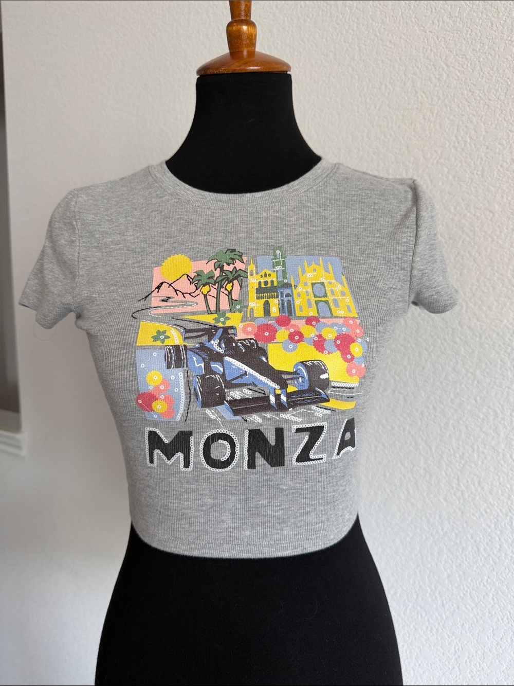 Aeropostale Monza Graphic Crop Tee in Light Gray